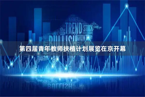 第四届青年教师扶植计划展览在京开幕